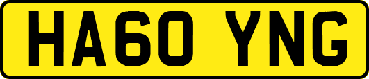 HA60YNG