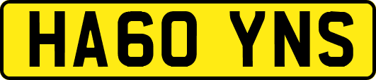 HA60YNS