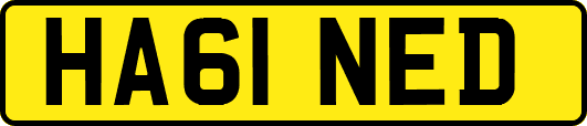 HA61NED