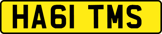 HA61TMS