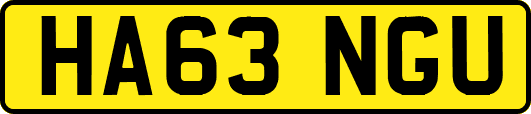 HA63NGU