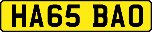 HA65BAO