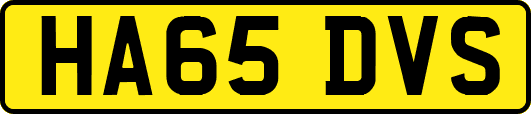 HA65DVS