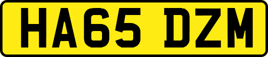 HA65DZM