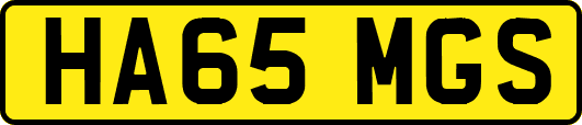 HA65MGS