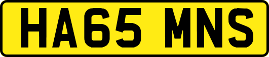 HA65MNS