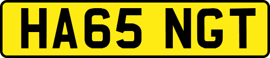 HA65NGT