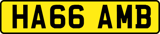 HA66AMB