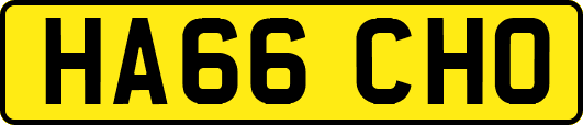 HA66CHO