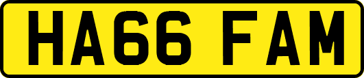 HA66FAM