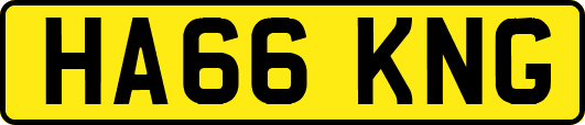 HA66KNG