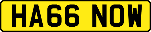 HA66NOW