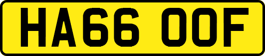 HA66OOF