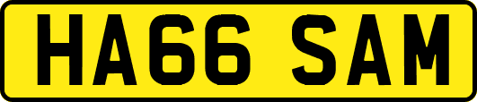 HA66SAM