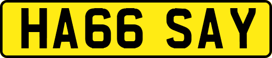HA66SAY