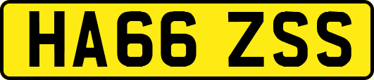 HA66ZSS