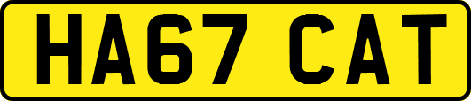HA67CAT
