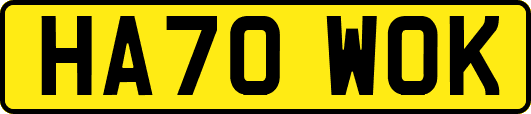 HA70WOK