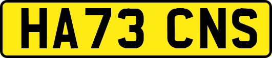 HA73CNS
