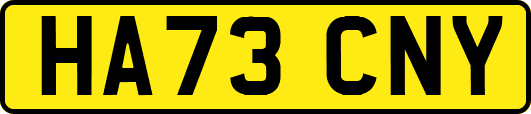 HA73CNY