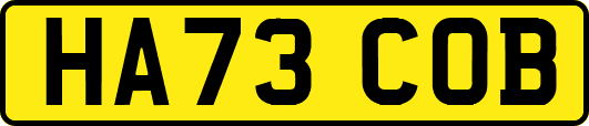 HA73COB