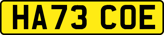 HA73COE