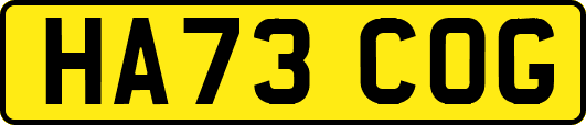 HA73COG
