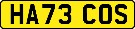 HA73COS