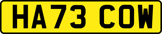 HA73COW