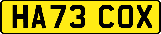 HA73COX