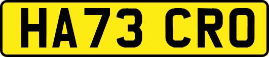 HA73CRO