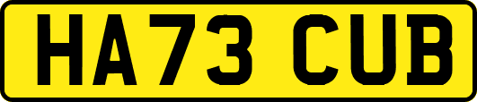HA73CUB
