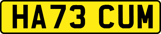 HA73CUM