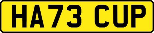 HA73CUP