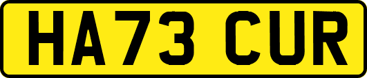 HA73CUR