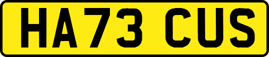 HA73CUS