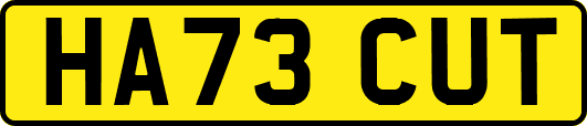 HA73CUT