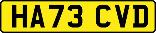 HA73CVD