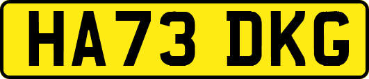 HA73DKG