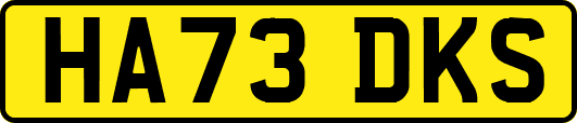HA73DKS
