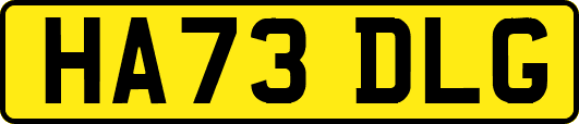 HA73DLG