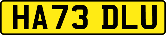 HA73DLU