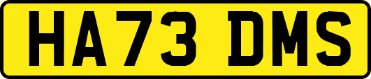 HA73DMS