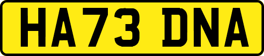 HA73DNA
