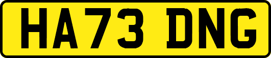 HA73DNG