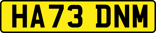 HA73DNM