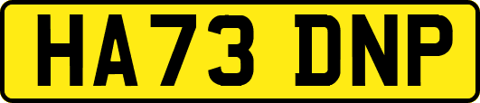 HA73DNP