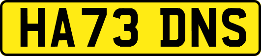 HA73DNS