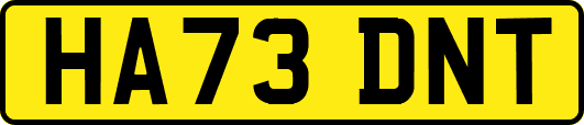 HA73DNT
