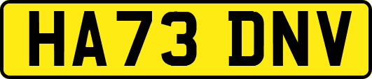 HA73DNV